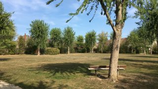 le carré central été